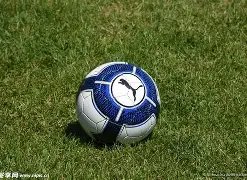 备战圣诞狂,阿森纳,月连战,金宝博188bet体育,金宝博188bet体育官网,金宝博188bet体育官方,金宝博188bet体育下载