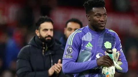 金宝博192bet体育 产品 230655 efx