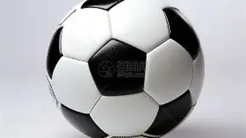 金宝博192bet体育 产品 230733 bul