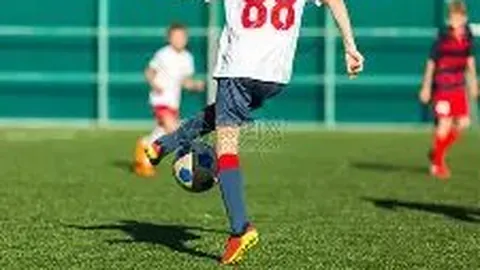 湖南卫视宣布终止与钱枫的合作协议