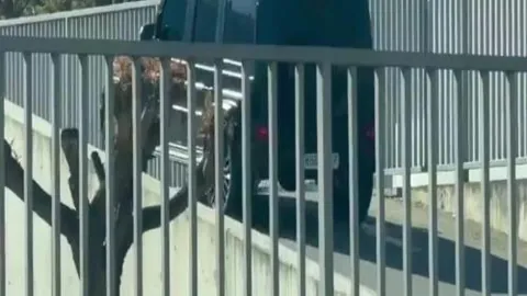 曼城主场与埃弗顿战成平局，13场赛事仅获一胜